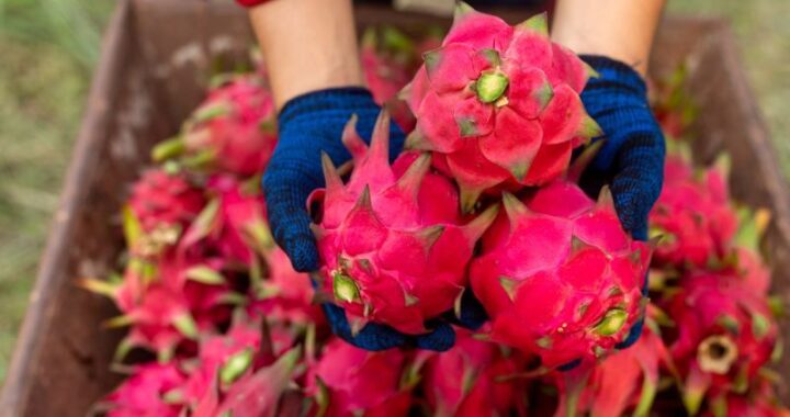 Ceny drewna opałowego i budowlanego w listopadzie 2023: co trzeba wiedzieć?