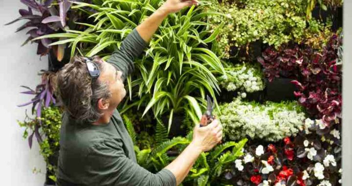 Jak wykonać kwietnik z palet na balkonie i tarasie: instrukcja krok po kroku