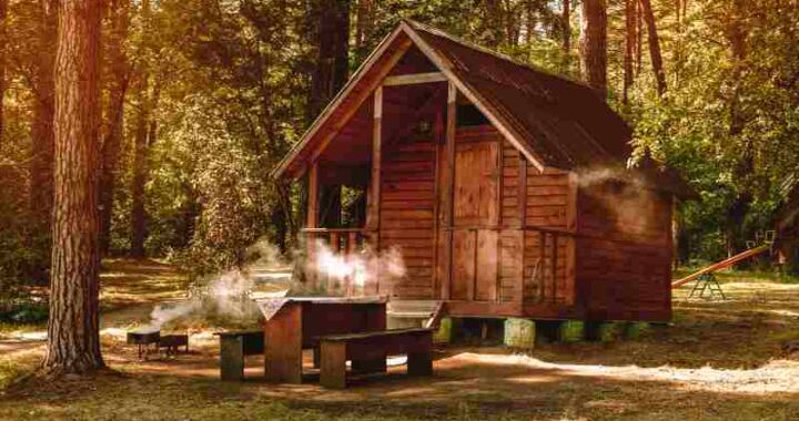 Zalety i wady posiadania działki w otoczeniu lasu
