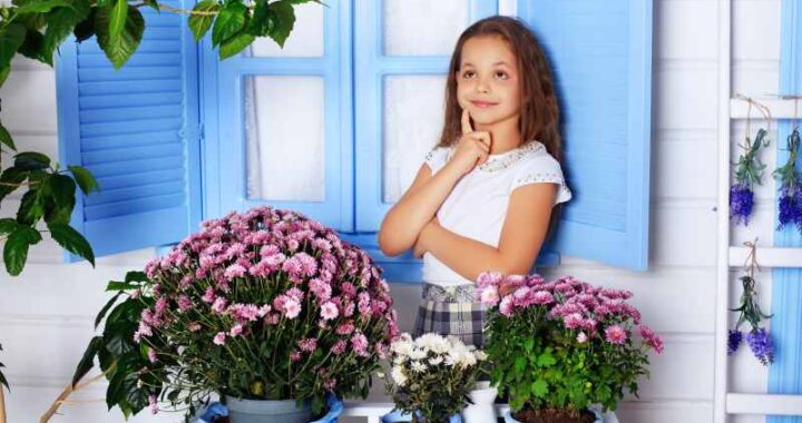 Czego unikać, aby pelargonie kwitły obficie