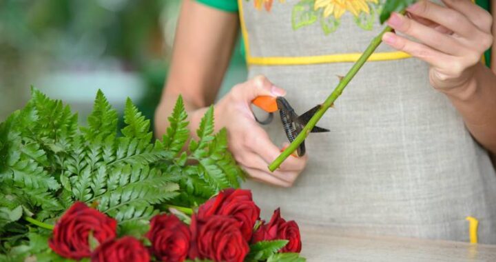 Jak przedłużyć okres kwitnienia róży oraz utrzymać ich piękno przez długi czas?