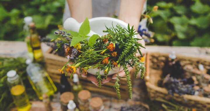 Jak wykonać skrzynkę do uprawy ziół w warunkach domowych na balkonie i parapecie