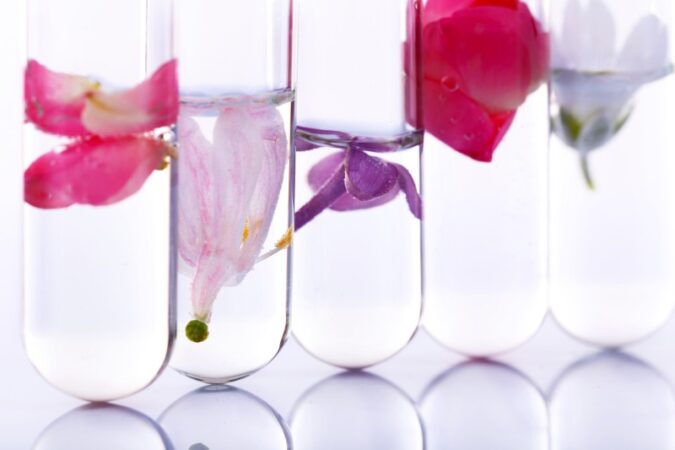 Jak zadbać o cięte kwiaty aby cieszyć się ich świeżością przez dłuższy czas