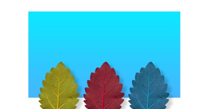 Dąb w ogrodzie - najlepsze gatunki i porady dotyczące uprawy drzew ozdobnych