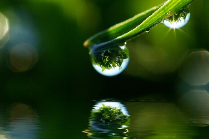 Jak stworzyć oczko wodne w ogrodzie – krok po kroku poradnik dla mężczyzn