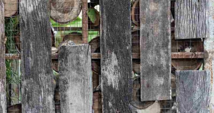 Zakup i wykorzystanie drewna z rozbiórek w domowych projektach remontowych